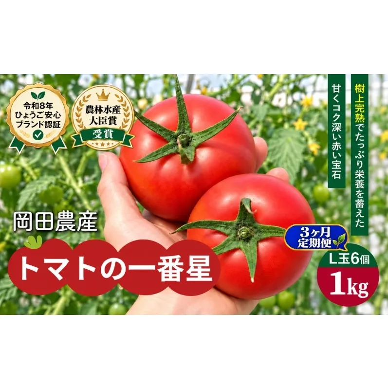 【3ヶ月定期便】トマト 1kg トマトの一番星 野菜 とまと 完熟 高糖度 甘い 受賞 冷蔵配送
