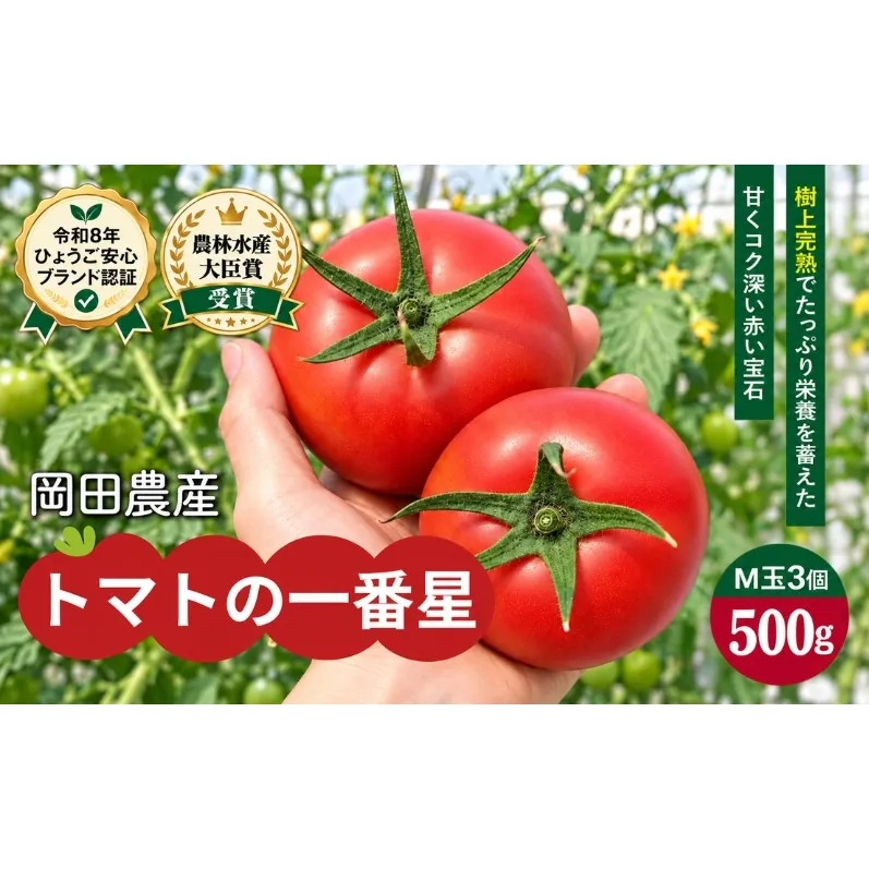 トマト 500g トマトの一番星 野菜 とまと 完熟 高糖度 甘い 受賞 冷蔵配送