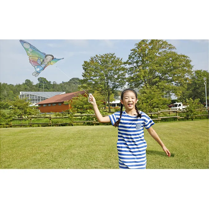 『似顔絵　悠遊バイオカイト』完成品 玩具 おもちゃ 凧 