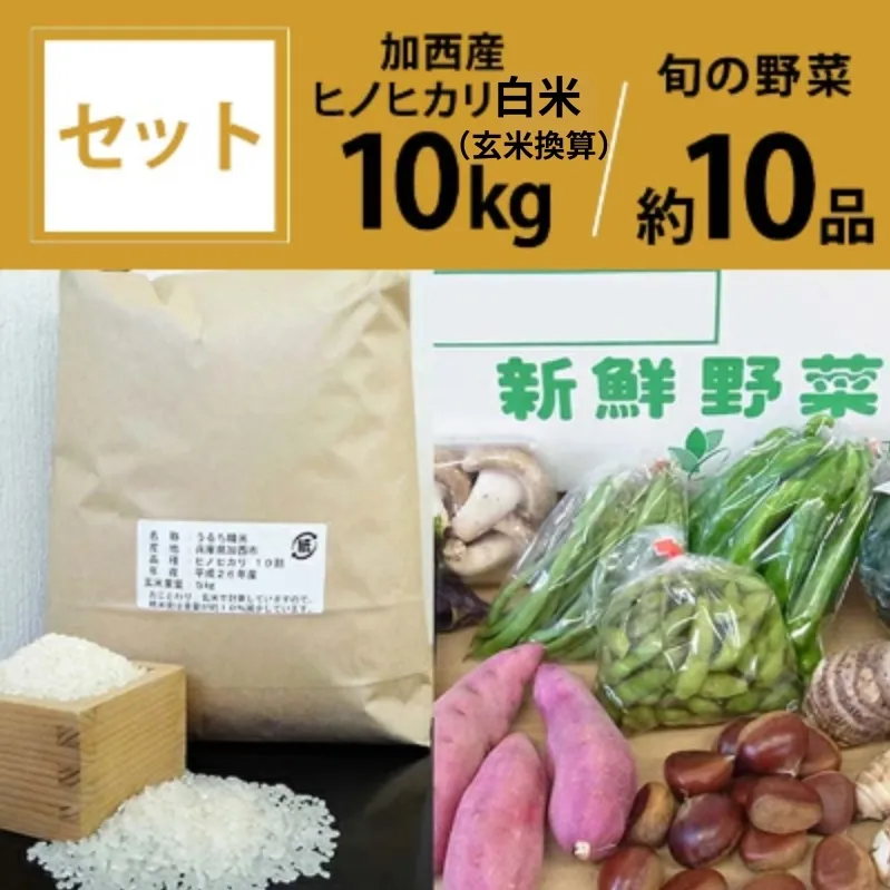 米 野菜 セット 加西産 ヒノヒカリ 白米 10kg(5kg×2：玄米換算) 季節の野菜 10品程度 詰合せ 旬の野菜 やさい お米 精米 ご飯 白飯 単一原料j米