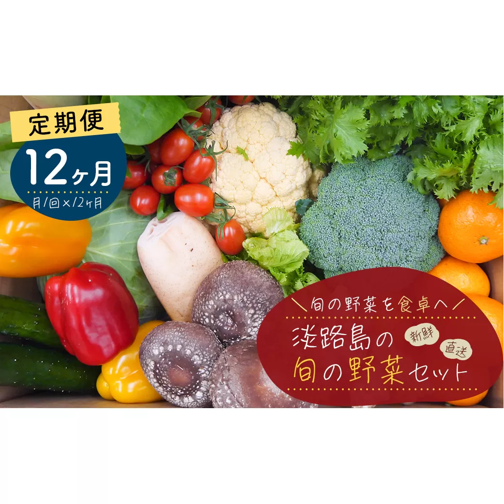 【定期便】淡路島の旬の野菜セット　１年コース（月１回×１２回）　　[野菜セット 定期便 野菜詰め合わせ 定期便 野菜セット]