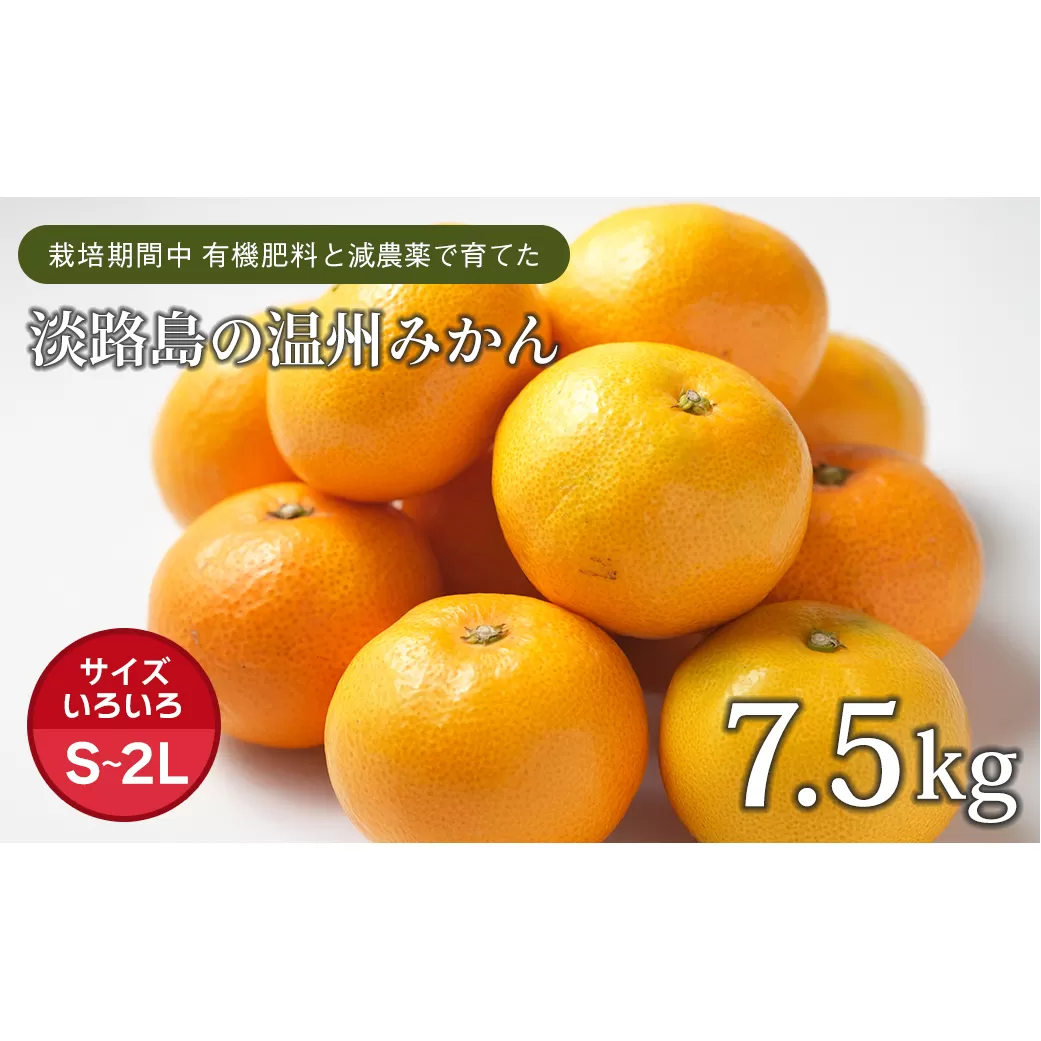 片山農園の淡路島みかん(温州みかん)7.5kg【サイズいろいろS~2Lサイズ】
