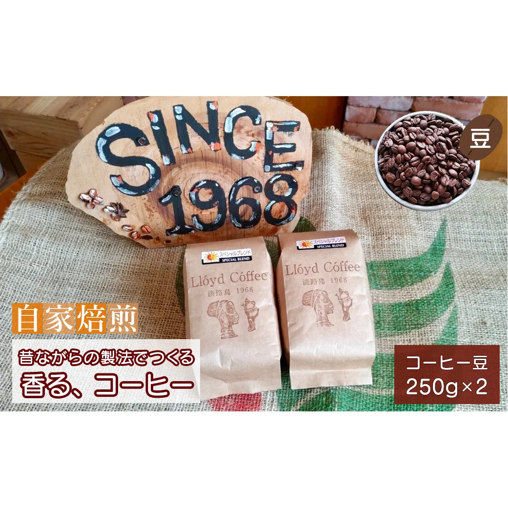 ロイドコーヒースペシャルブレンド(豆)500g(250g×2個)自家焙煎 コーヒー 豆 コーヒー 豆