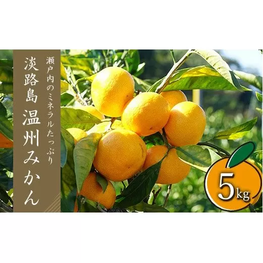 温州みかん　5kg　サイズ色々Ｓ・Ｍ・Ｌミックス