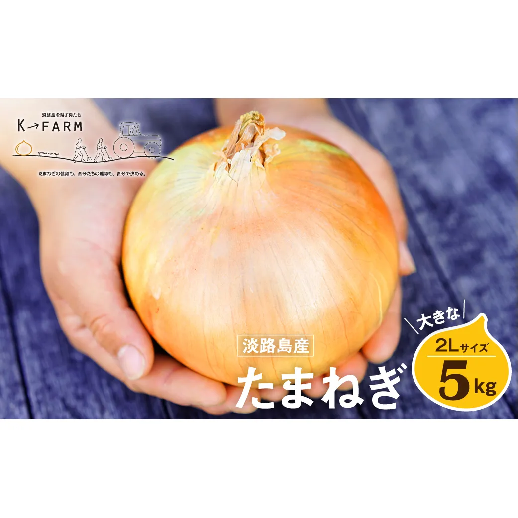 淡路島たまねぎ 大きな2Lサイズ 5kg　　[玉ねぎ 玉葱 タマネギ 玉ねぎ 淡路島産 たまねぎ 玉ねぎ 玉ねぎ 玉ねぎ 玉ねぎ 玉ねぎ]