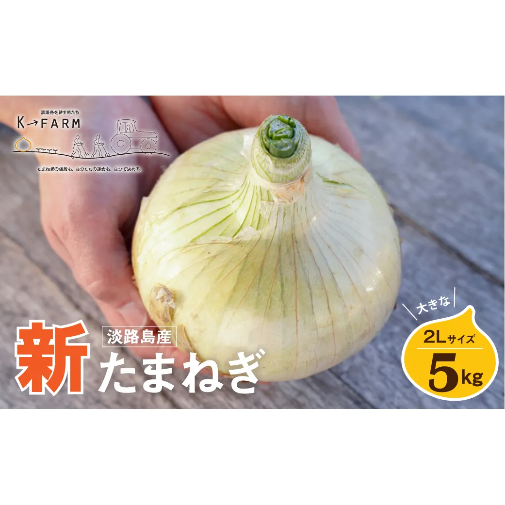 【新玉ねぎ】淡路島たまねぎ 大きな2Lサイズ 5kg【発送時期：2026年3月下旬～5月頃】　玉ねぎ 産地直送