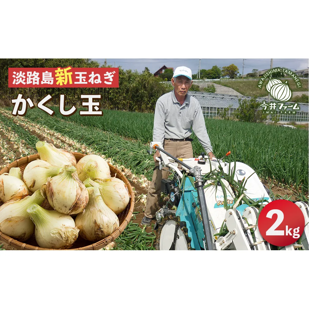 【新たまねぎ】今井ファームの淡路島たまねぎ「かくし玉」 2kg【発送時期2026年4月下旬～5月頃】　[玉ねぎ 産地直送 玉ねぎ]