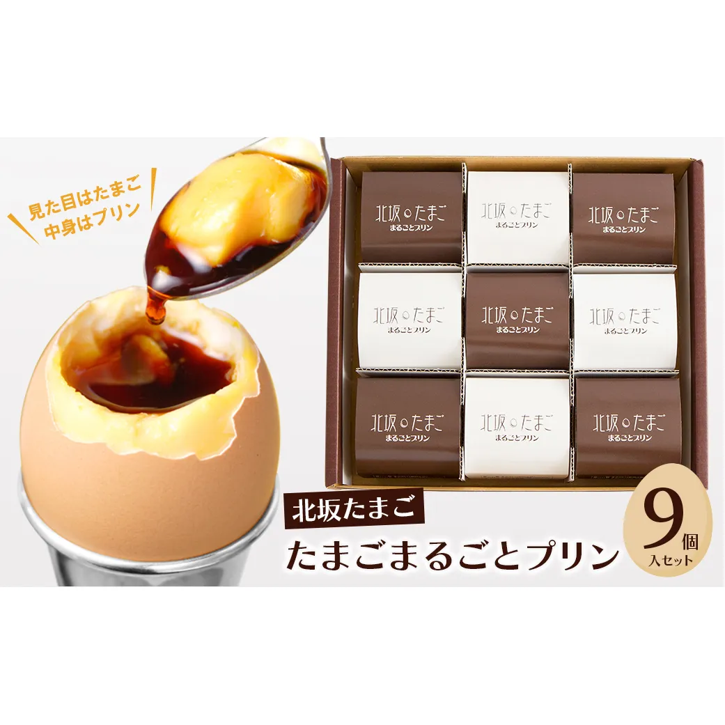 北坂たまごまるごとプリン９個入セット