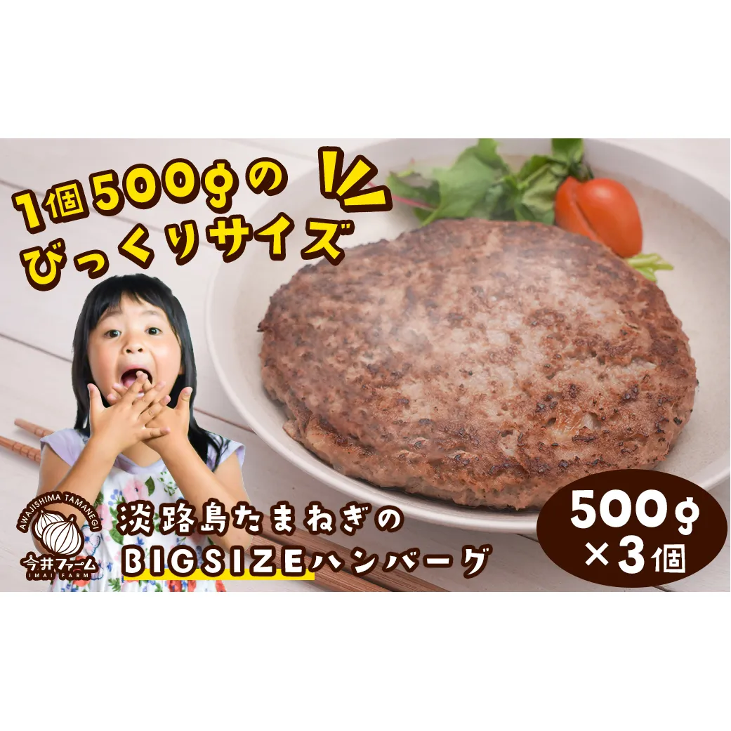 淡路島たまねぎのBIG SIZEハンバーグ 500g×3個