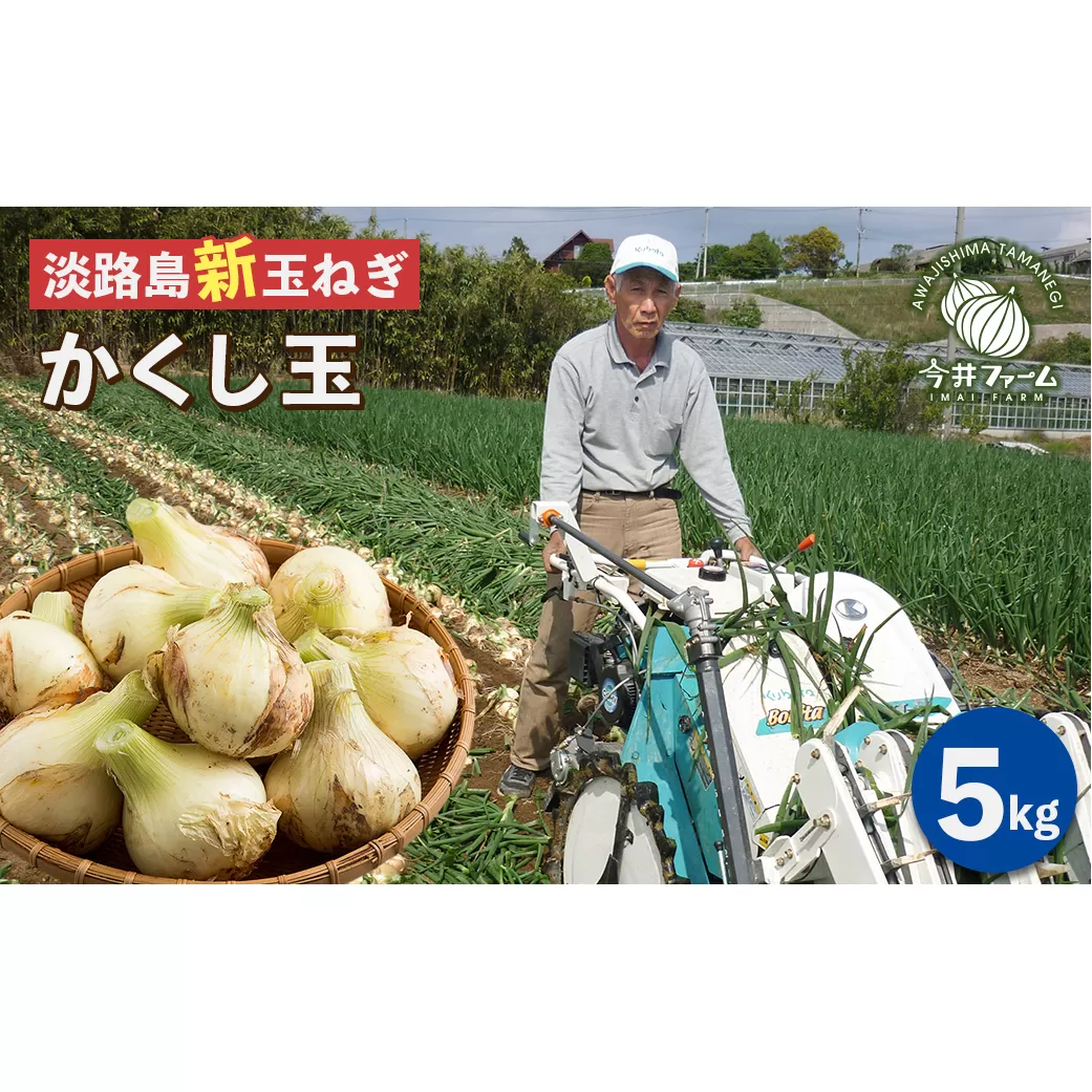 【新たまねぎ】今井ファームの淡路島たまねぎ「かくし玉」 5kg【発送時期2026年4月下旬～5月頃】　[玉ねぎ 産地直送 玉ねぎ]