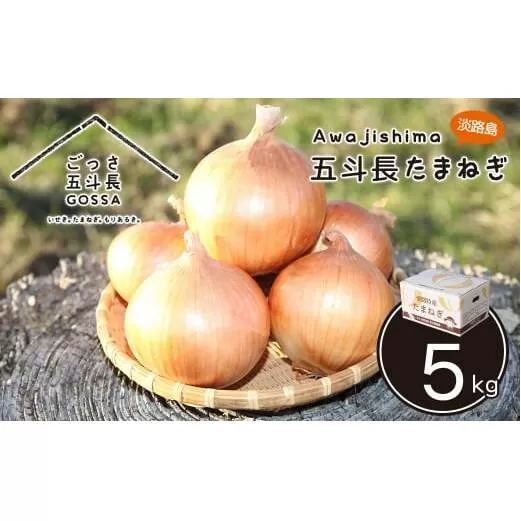 五斗長たまねぎ 5kg　　[玉ねぎ 玉葱 タマネギ 玉ねぎ 淡路島産 たまねぎ 玉ねぎ 玉ねぎ 玉ねぎ 玉ねぎ 玉ねぎ]