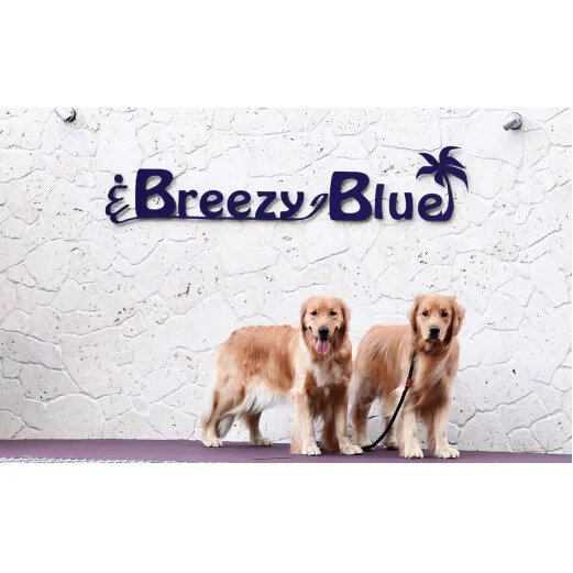 貸別荘BreezyBlue淡路島 ご利用券【10月～3月宿泊限定】（30,000円分）