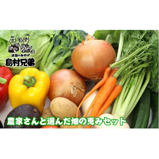 農家さんと選んだ畑の恵みセット　[野菜セット 野菜詰め合わせ]