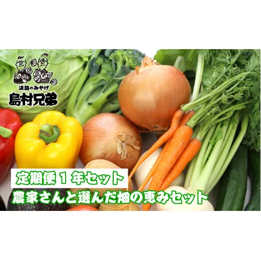 [定期便1年セット]農家さんと選んだ畑の恵みセット [野菜セット 野菜詰め合わせ]