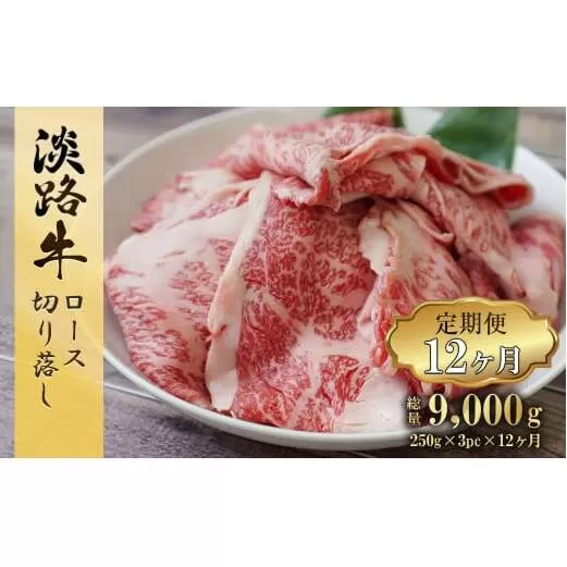 【定期便12ヶ月】 淡路牛 ロース切り落し 750g (250g×3パック)　[小分け 冷凍 牛肉 人気]