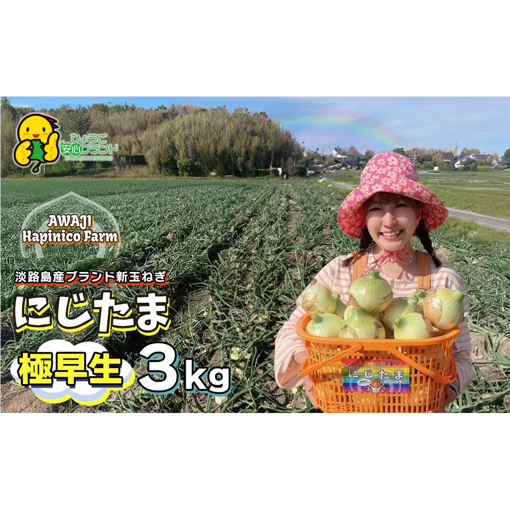 淡路島産ブランド新玉ねぎ 極早生 「にじたま」  3kgダンボール入り【発送時期2026年2月中旬～4月頃】