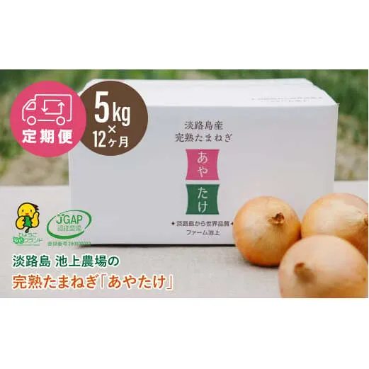 【定期便】淡路島 池上農場の完熟たまねぎ「あやたけ」5kg　12ヶ月コース　[玉ねぎ 産地直送 玉ねぎ]
