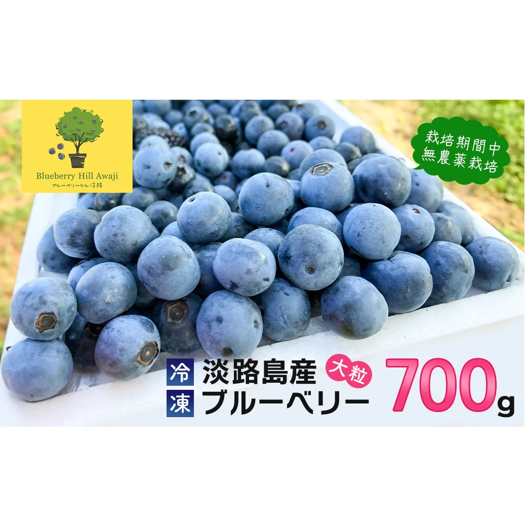 【淡路島産】大粒ブルーベリー 700g 冷凍生果《栽培期間中、無農薬栽培》　ブルーベリー