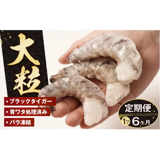 【定期便6ヶ月】至福の大粒むきえび　背ワタ処理済 1kg　　[むきえび 冷凍 ムキエビ ブラックタイガー 大型 むきえび]