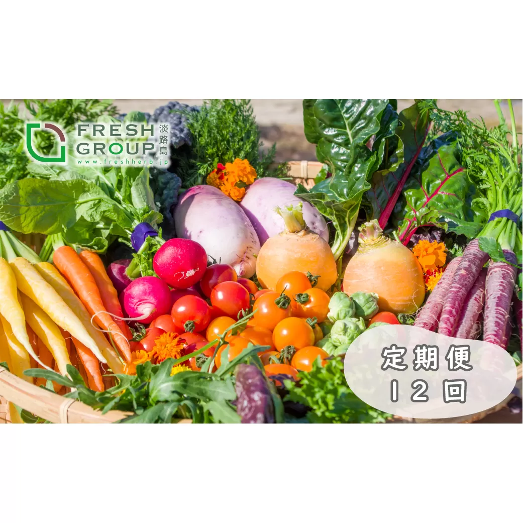 【定期便】彩り野菜と香るハーブセット　１２回お届けセット　　[野菜セット 定期便 野菜詰め合わせ 定期便 野菜セット]