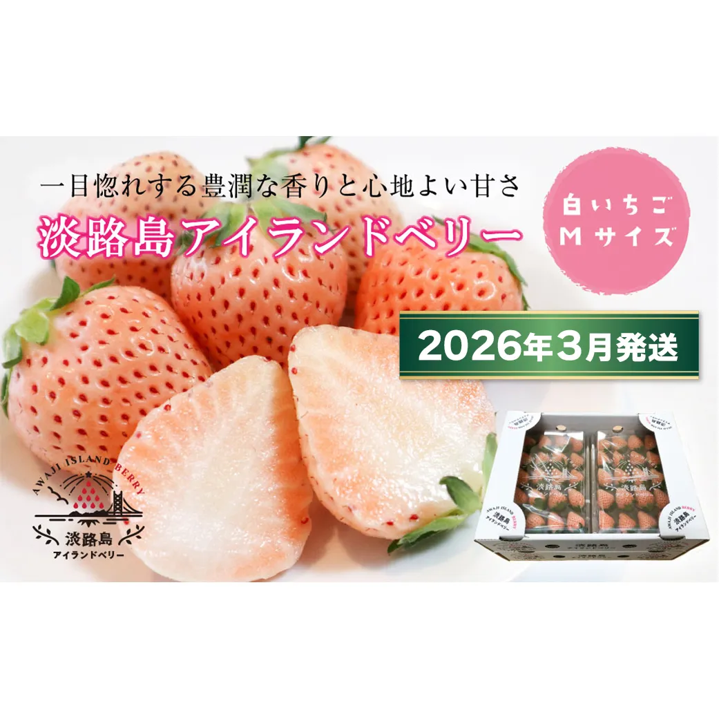 淡路島アイランドベリー　白苺淡雪　Mサイズ【2026年3月発送予約受付・お届け日指定不可】　[いちご]