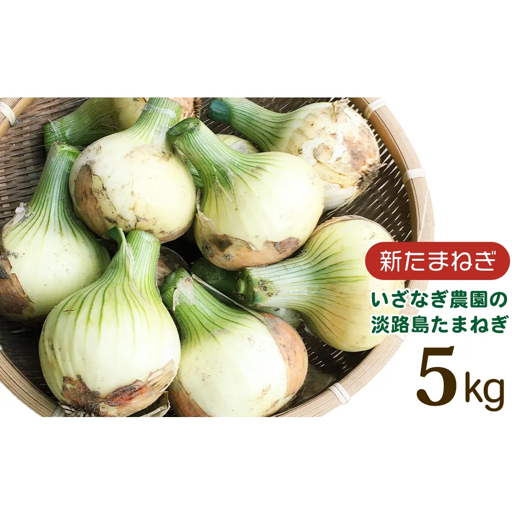 [新たまねぎ]いざなぎ農園の淡路島たまねぎ 5kg[発送時期2026年5月頃] 玉ねぎ 産地直送