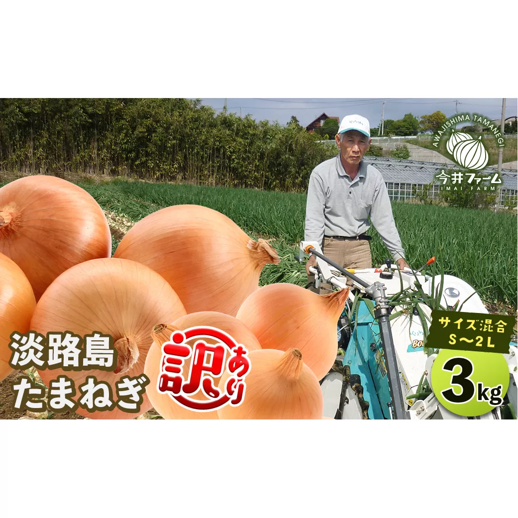 【訳あり】今井ファームの淡路島たまねぎ 3kg【サイズ混合S～2L】　　[玉ねぎ 玉ねぎ 玉ねぎ 玉ねぎ 玉ねぎ]