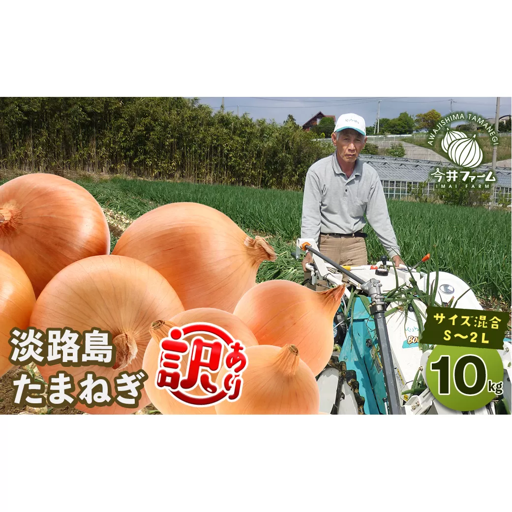 【訳あり】今井ファームの淡路島たまねぎ 10kg【サイズ混合S～2L】　　[玉ねぎ 玉ねぎ 玉ねぎ 玉ねぎ 玉ねぎ]
