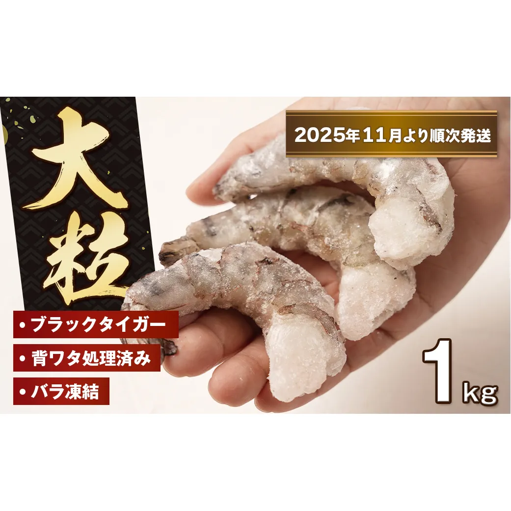 至福の大粒むきえび　背ワタ処理済 1kg【2025年11月より順次発送】　ブラックタイガー 冷凍 ムキエビ  大型 海老