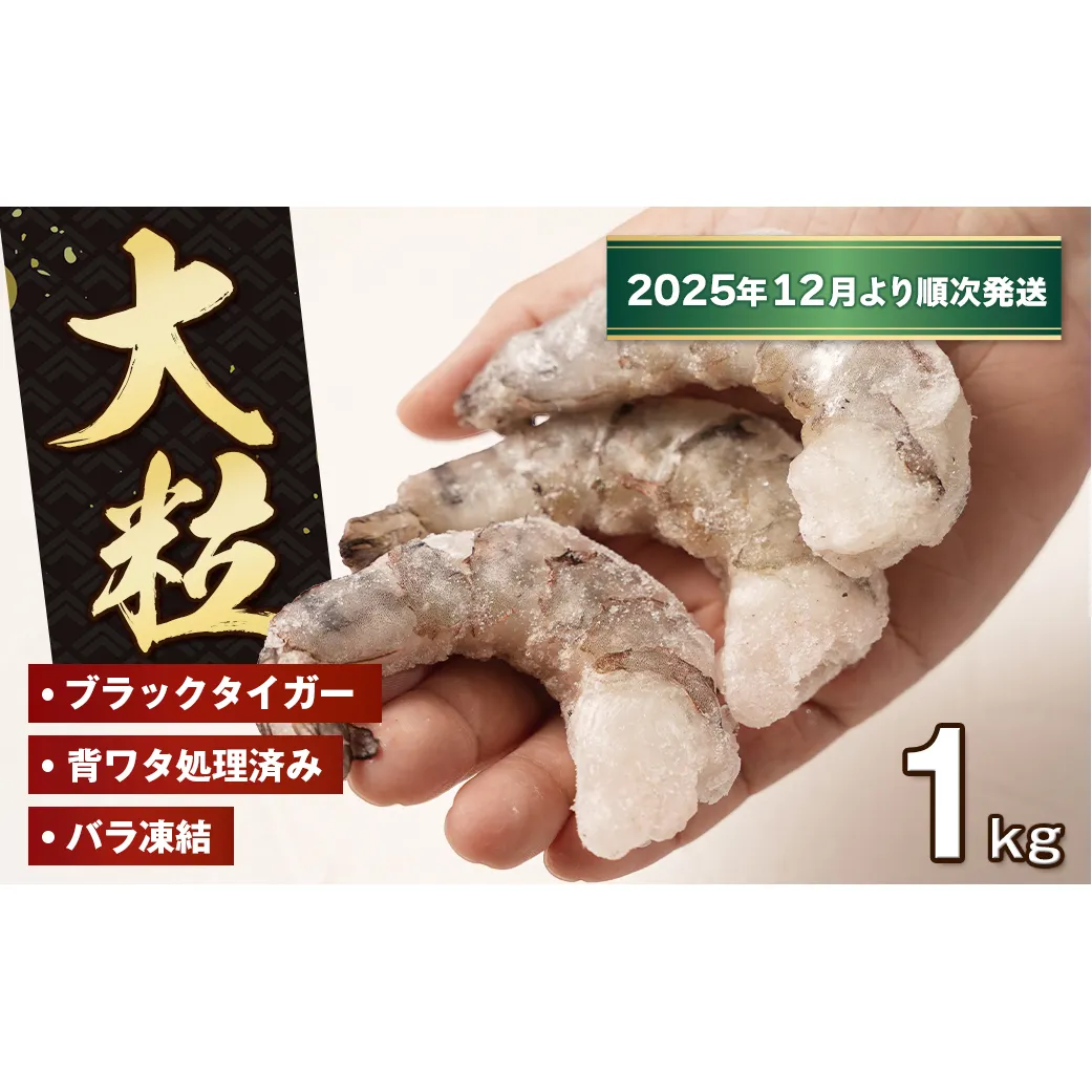 至福の大粒むきえび　背ワタ処理済 1kg【2025年12月より順次発送】　ブラックタイガー 冷凍 ムキエビ  大型 海老