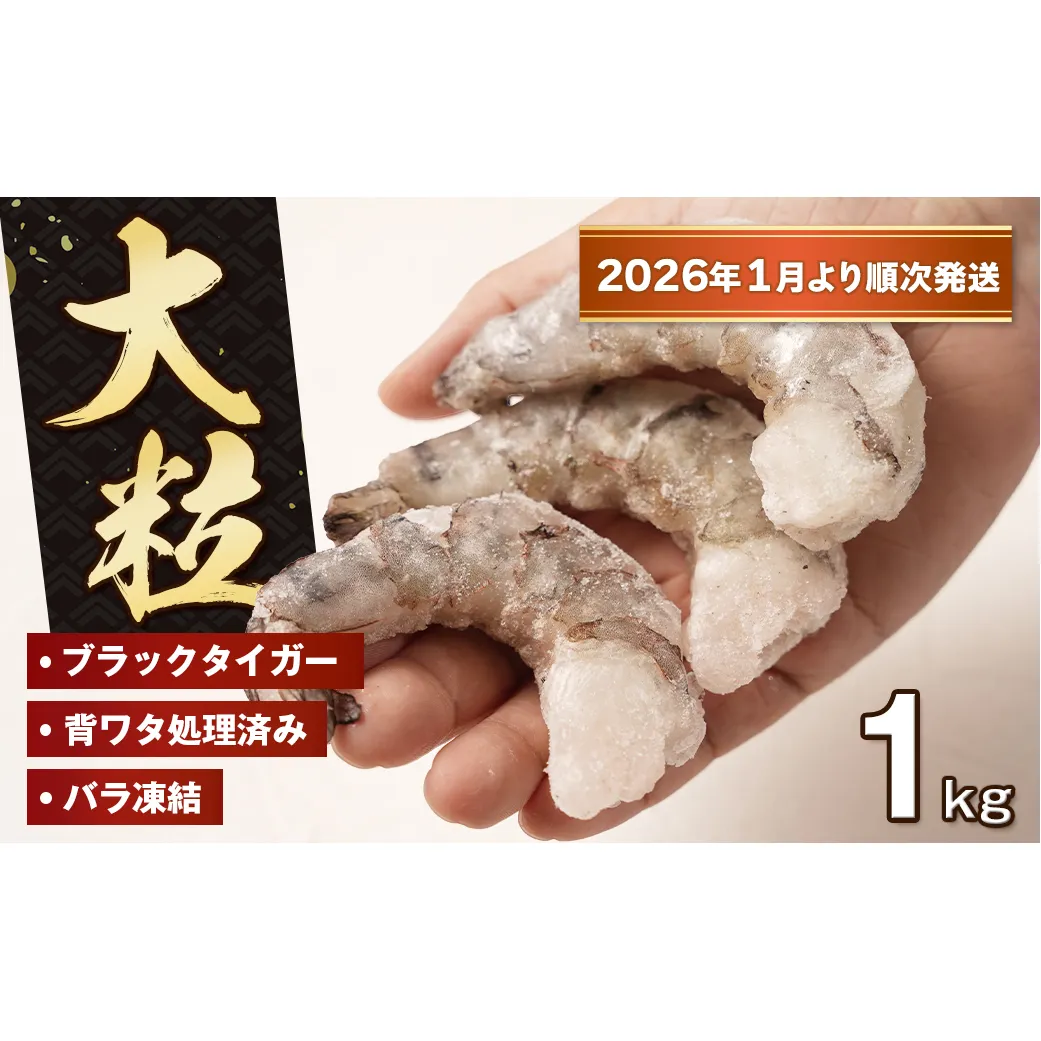 至福の大粒むきえび　背ワタ処理済 1kg【2026年1月より順次発送】　ブラックタイガー 冷凍 ムキエビ  大型 海老