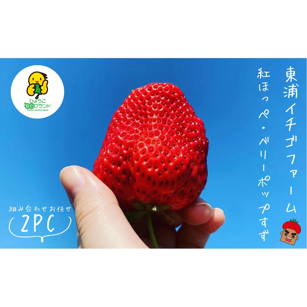淡路島産いちごセット（紅ほっぺ / ベリーポップすず）【12月中旬～1月発送・お届け日指定不可】
