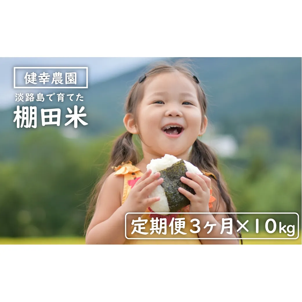 【定期便】健幸農園の棚田米 10kg×3ヵ月セット 精米 白米 農家直送