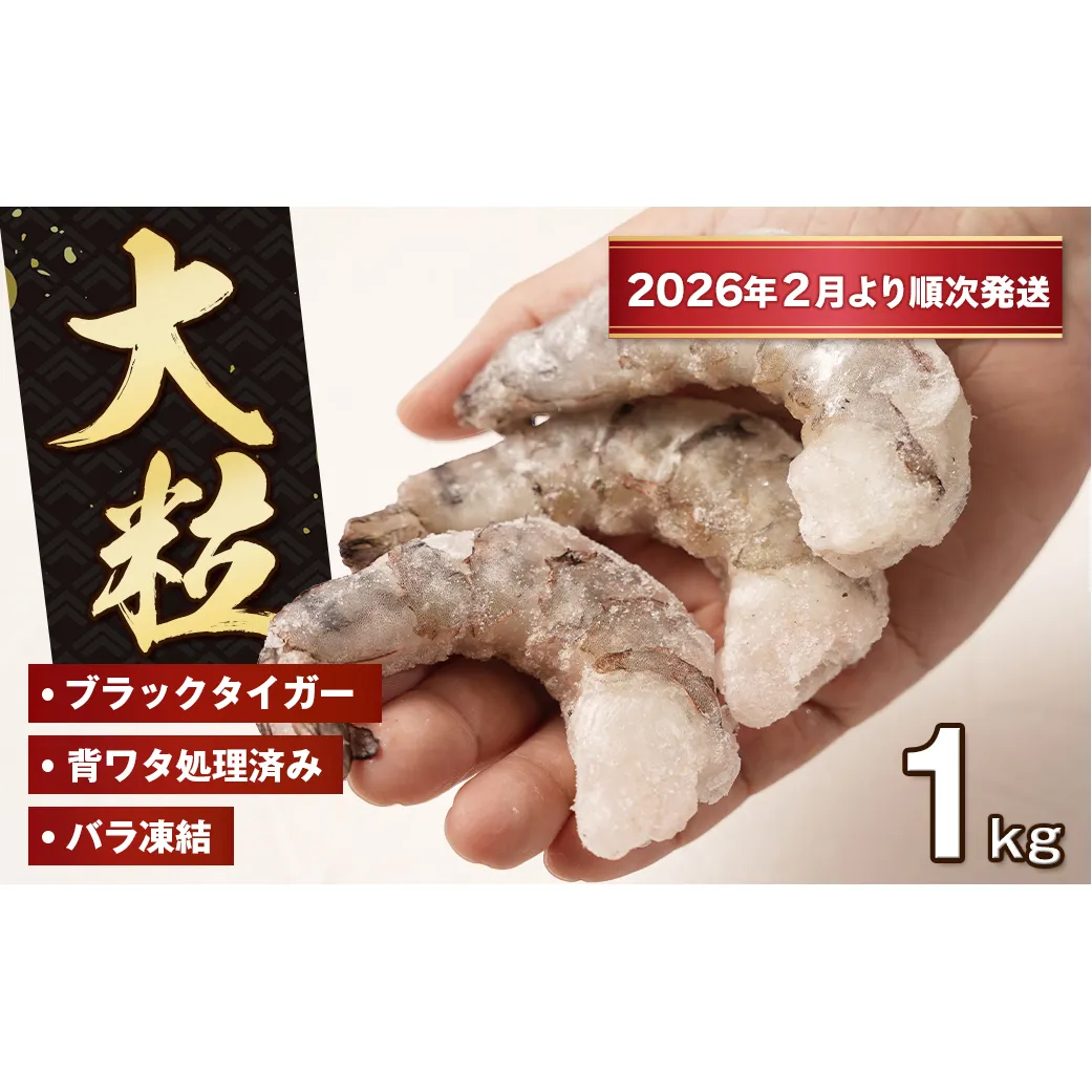 至福の大粒 むきえび　背ワタ処理済 1kg【2026年2月より順次発送】　ブラックタイガー 冷凍 ムキエビ  大型 海老