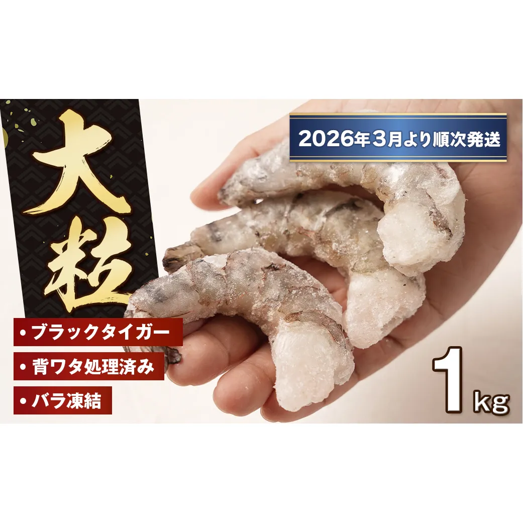 至福の大粒 むきえび　背ワタ処理済 1kg【2026年3月より順次発送】　ブラックタイガー 冷凍 ムキエビ  大型 海老