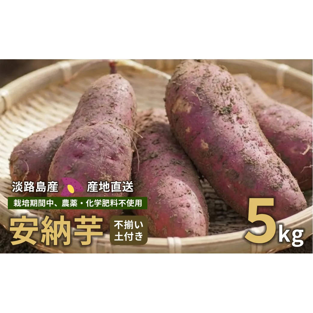 【産地直送】安納芋（淡路島産）土付き　約5kg　不揃い【栽培期間中、農薬・化学肥料不使用】さつまいも