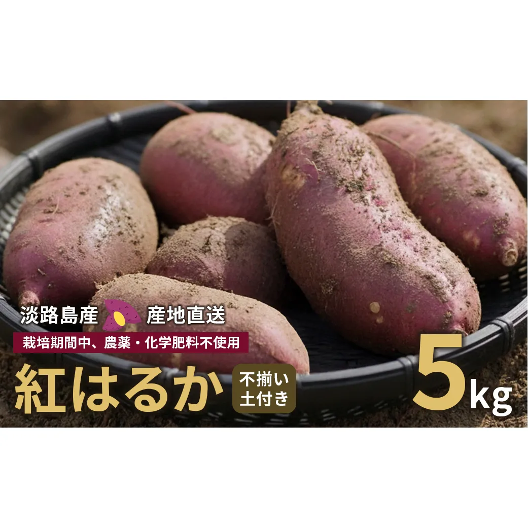 【産地直送】紅はるか（淡路島産）土付き　約5kg　不揃い【栽培期間中、農薬・化学肥料不使用】 さつまいも
