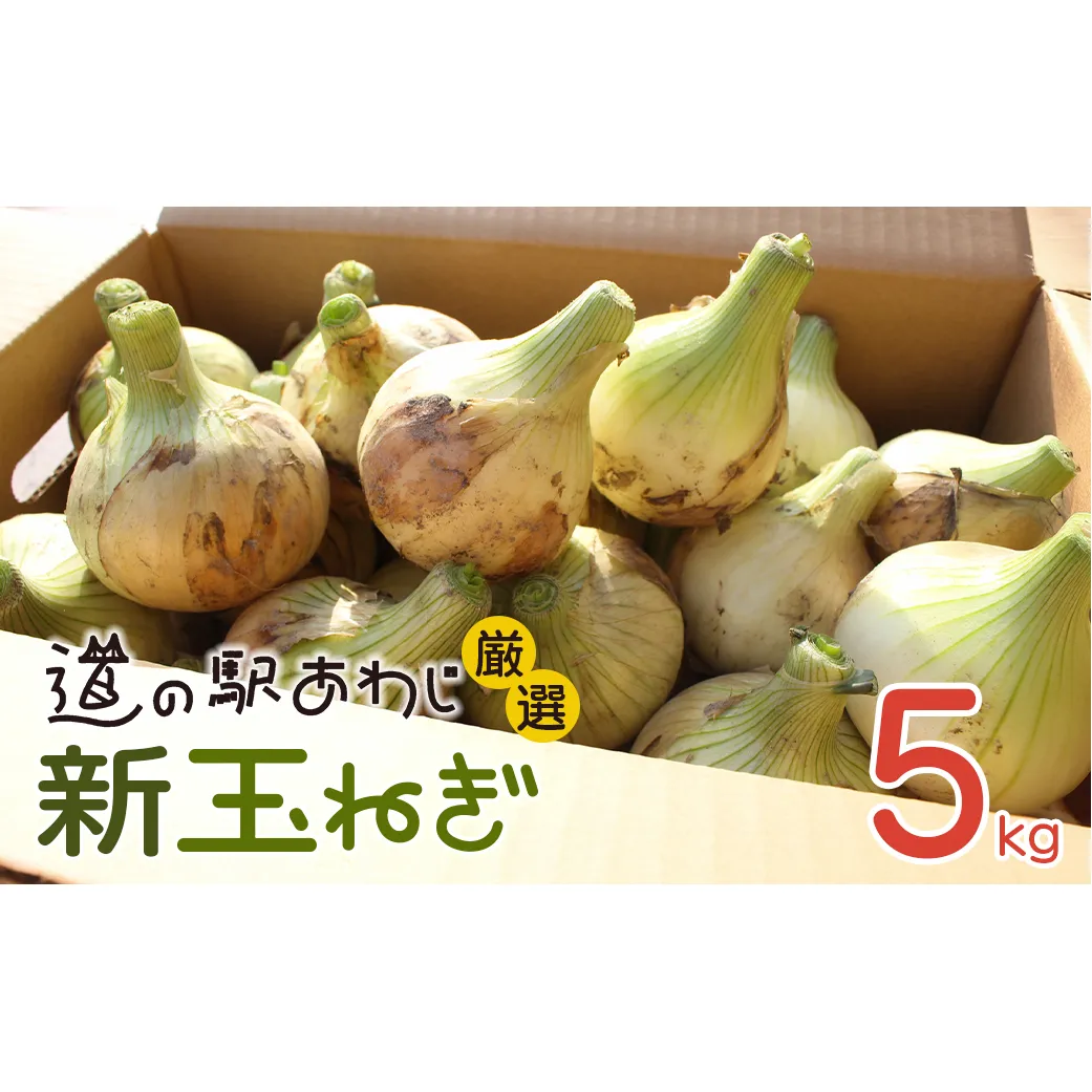 道の駅あわじ厳選新玉ねぎ５kg【発送時期2026年5月頃】