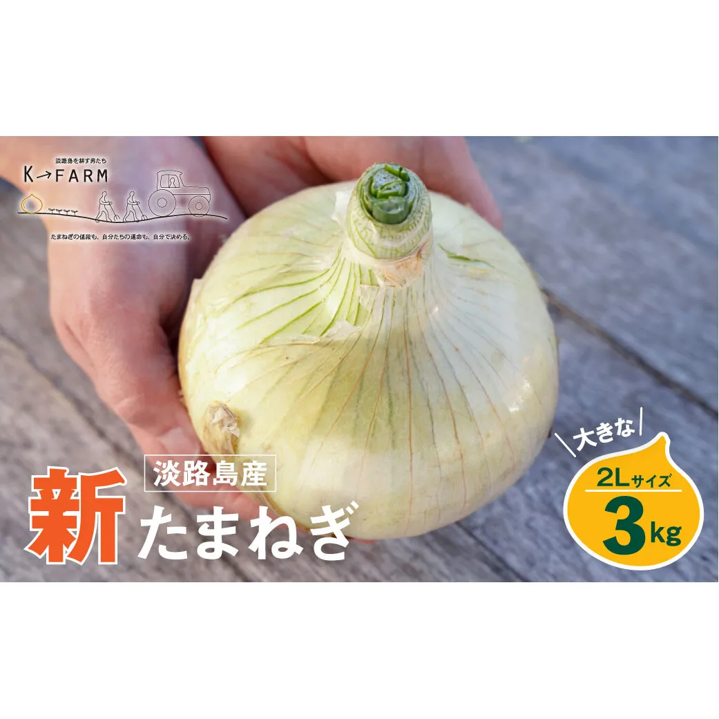 【新玉ねぎ】淡路島たまねぎ 大きな2Lサイズ 3kg【発送時期：2026年3月下旬～5月頃】　玉ねぎ 産地直送