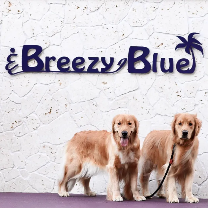 貸別荘BreezyBlue淡路島 ご利用券【10月～3月宿泊限定】（30,000円分）