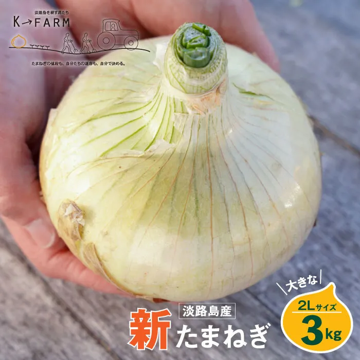 【新玉ねぎ】淡路島たまねぎ 大きな2Lサイズ 3kg【発送時期：2026年3月下旬～5月頃】玉ねぎ