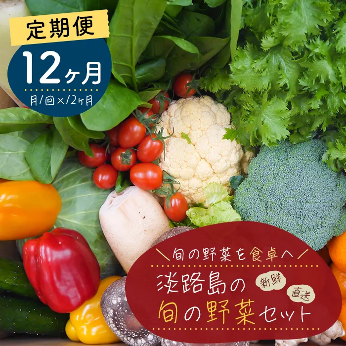 【定期便】淡路島の旬の野菜セット　１年コース（月１回×１２回）　野菜詰め合わせ