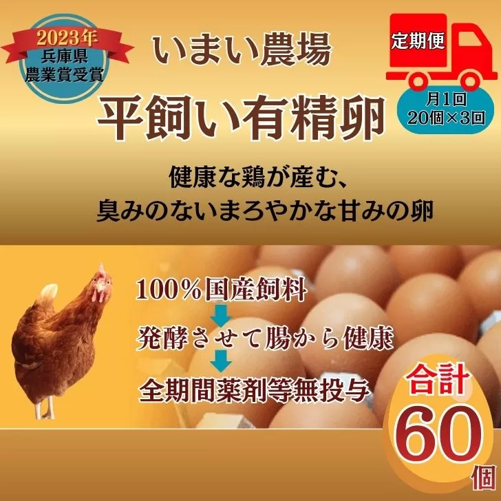 BQ6 いまい農場の 平飼い 有精卵 定期便(3か月) 合計60個(20個×3か月)【 定期 3か月 複数回 赤玉 たまご タマゴ 玉子 平飼い 国産 こだわり 受賞 兵庫県 宍粟市 しそうし 】