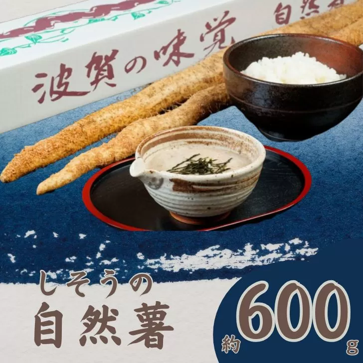 K7　しそうの自然薯（ 期間限定 数量限定 自然薯 山芋 芋 野菜 滋養強壮 じねんじょ ）