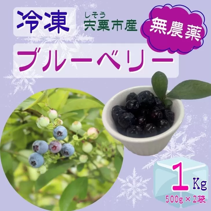 K11　しそうの “ 冷凍 ” ブルーベリー　1kg（500ｇ×2）【 無農薬 冷凍 フローズン アイス ブルーベリー 果物 フルーツ 産地直送 国産 大容量 】