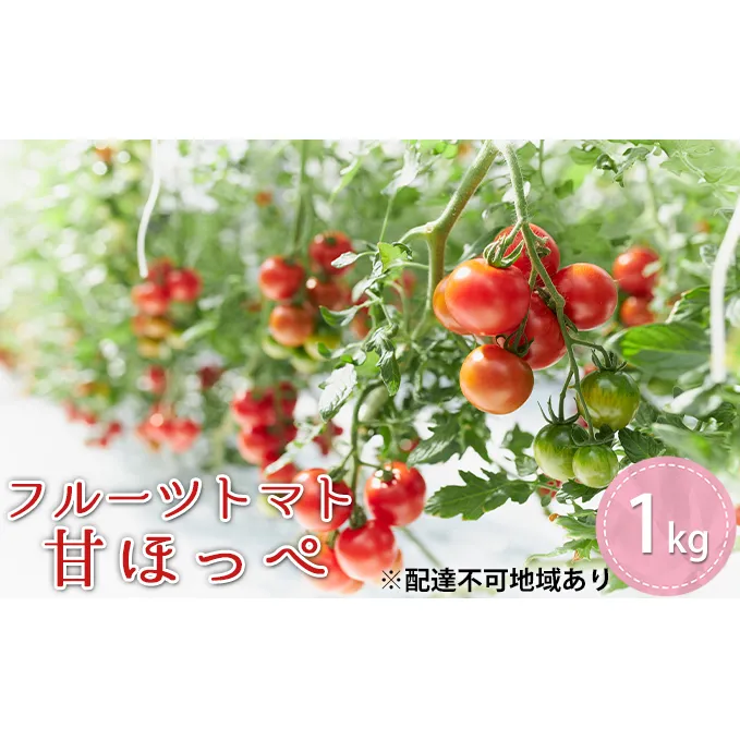 フルーツトマト 『 甘ほっぺ ( フルティカ )』1kg[ トマト ミディトマト 野菜 完熟 ] とまと 