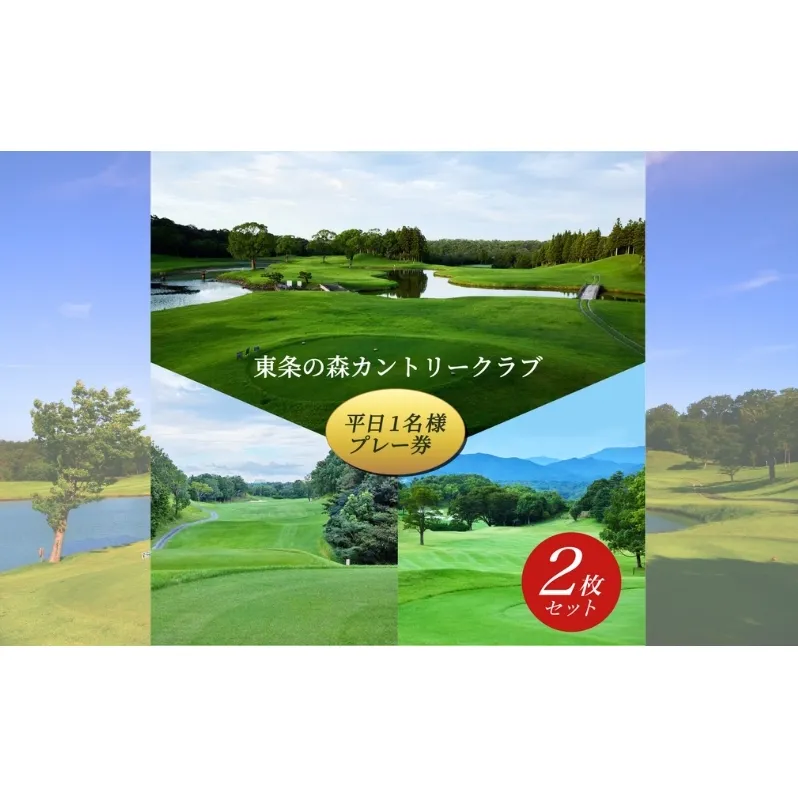 東条の森カントリークラブ 平日 1名様 プレー券 (2枚セット) 東条の森CC [ ゴルフ 加東市 兵庫県 関西 ゴルフ場 ] ゴルフ場利用権 