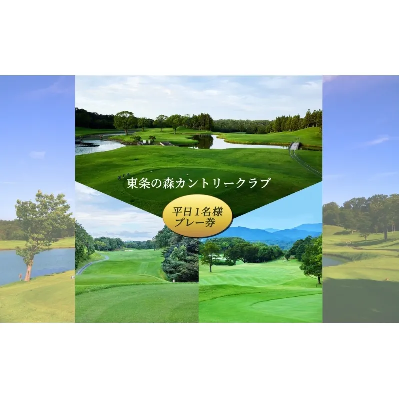 東条の森カントリークラブ 平日 1名様 プレー券 東条の森CC [ ゴルフ 加東市 兵庫県 関西 ゴルフ場 ] ゴルフ場利用権 