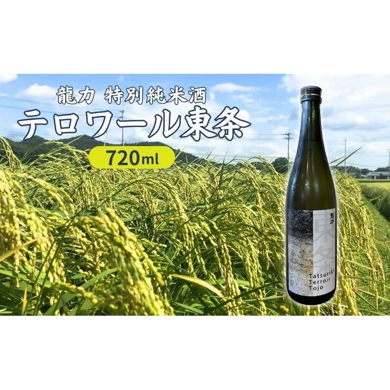 龍力 特別純米酒 テロワール東条 720ml [ 本田商店 加東市特A地区 東条産山田錦 辛口 日本酒 酒 お酒 四合瓶 贈答品 ギフト 兵庫県 兵庫 加東市 ]