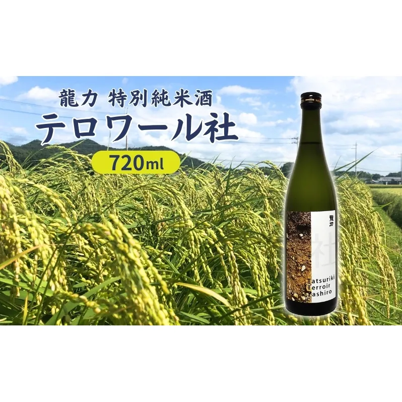 龍力 特別純米酒 テロワール社 720ml [ 本田商店 加東市特A地区 社産山田錦 辛口 日本酒 酒 お酒 四合瓶 贈答品 ギフト 兵庫県 兵庫 加東市 ]